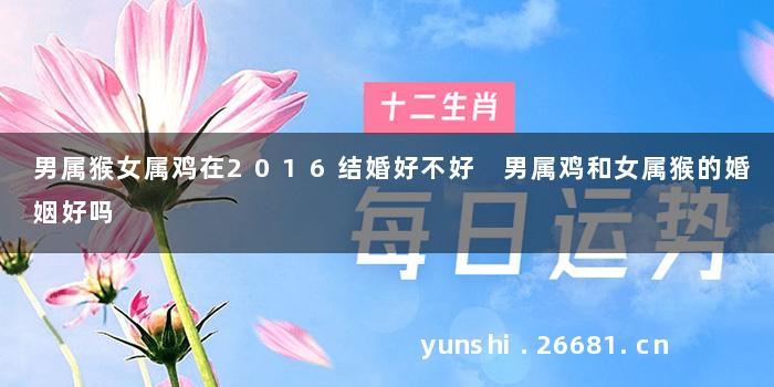 男属猴女属鸡在2016结婚好不好 男属鸡和女属猴的婚姻好吗